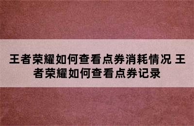 王者荣耀如何查看点券消耗情况 王者荣耀如何查看点券记录